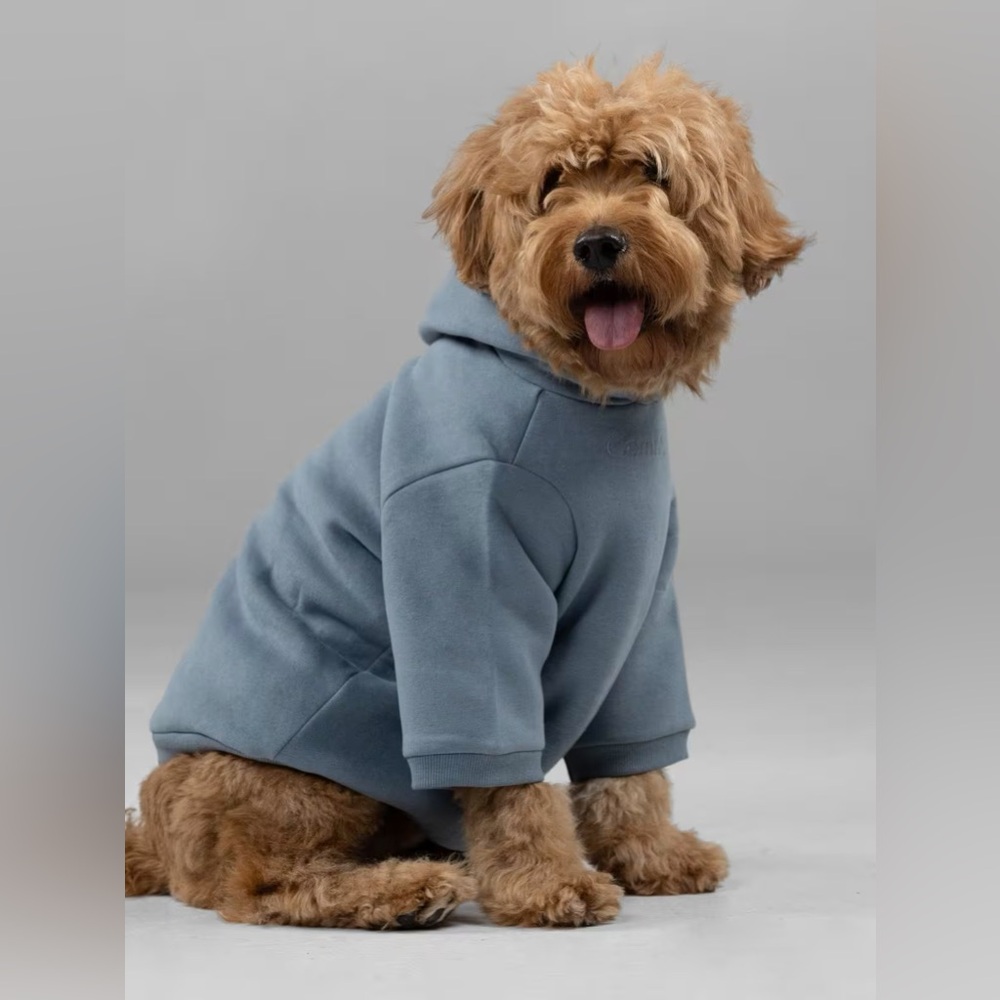 NO OFFERS BNWT Comfrt Signature Paw Hoodie 2XL Sky